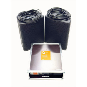 Ensemble Nexo 2 x P15