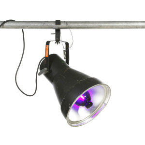 Canon à lumière noire 400 W